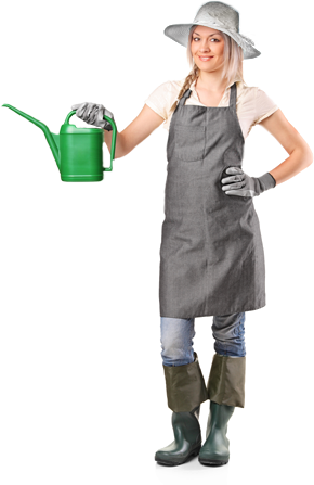 terceirização recepcionista